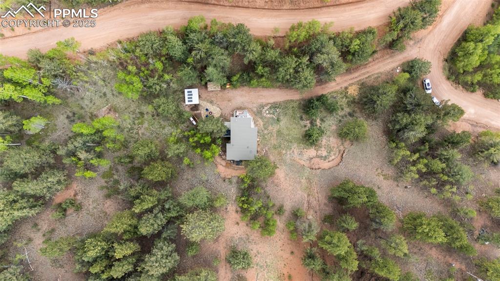 529 Spruce Circle Divide, CO 80814 - Photo 37 of 38