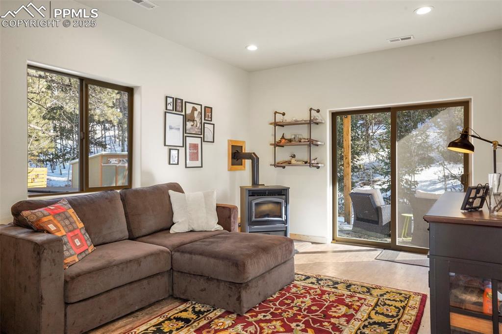 529 Spruce Circle Divide, CO 80814 - Photo 4 of 38 Lower level family room with walk-out and pellet stove.
