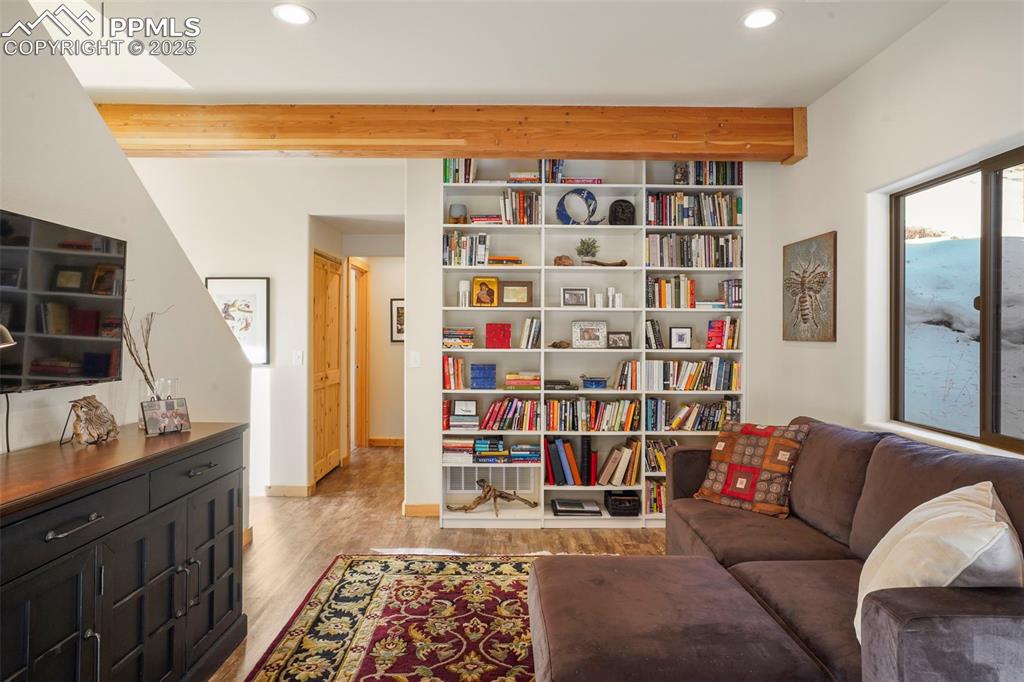 529 Spruce Circle Divide, CO 80814 - Photo 5 of 38 Built-in bookshelves in the family room.