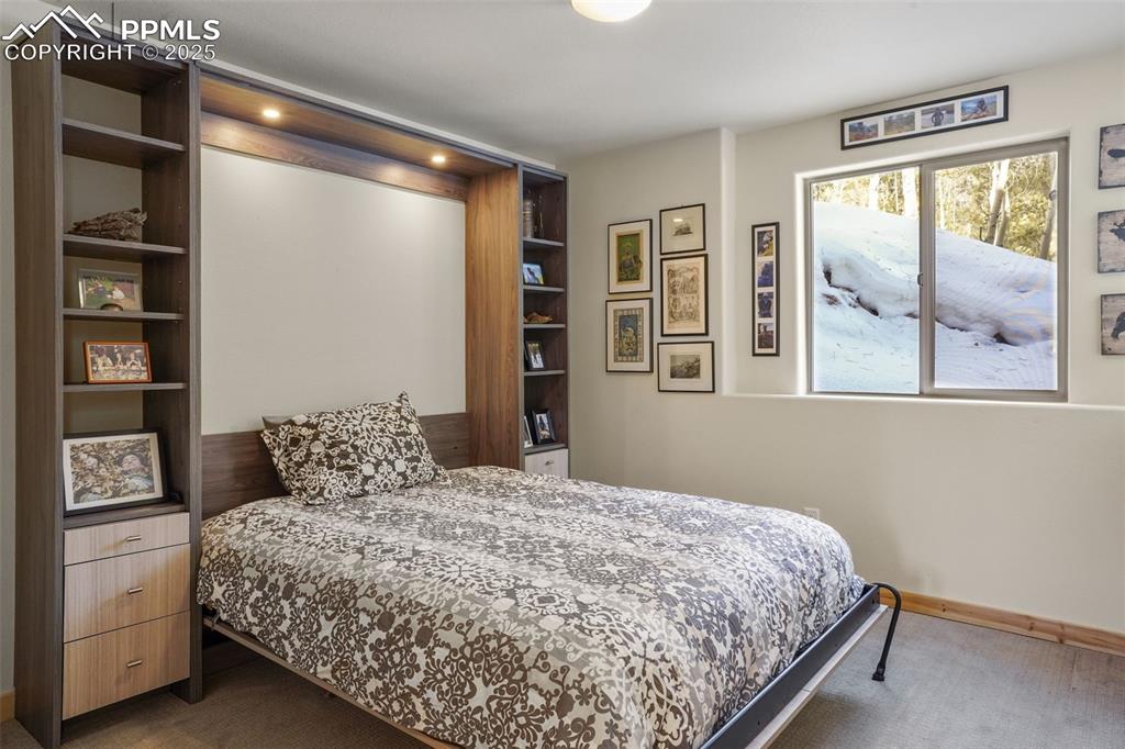 529 Spruce Circle Divide, CO 80814 - Photo 6 of 38 Lower level bedroom.