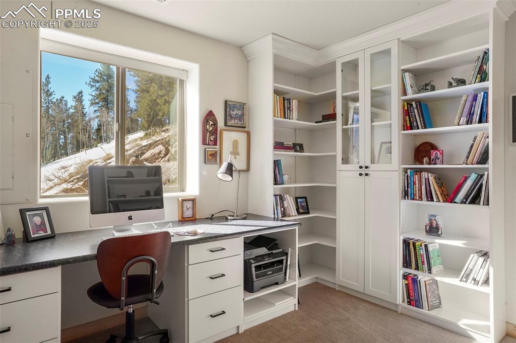 529 Spruce Circle Divide, CO 80814 - Photo 7 of 38 Lower level bedroom with built-in bookshelves.