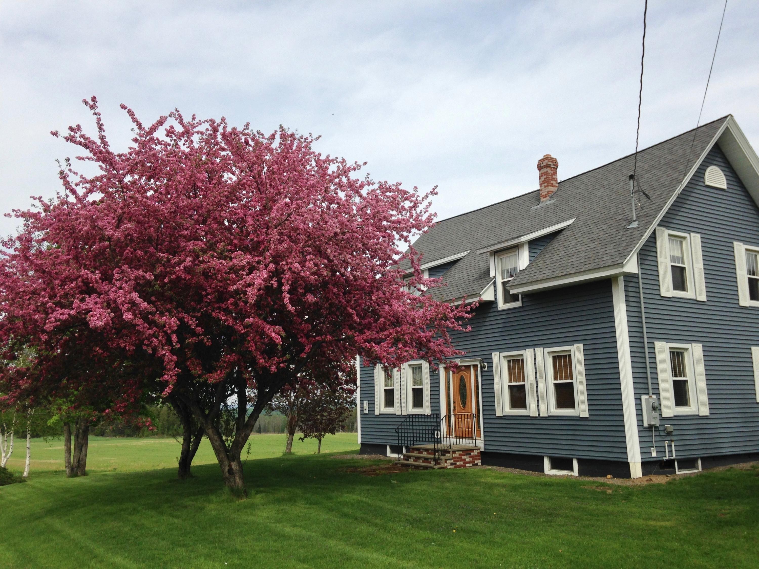 1100 Bangor Road Linneus, ME 04730 - Photo 7 of 51 7-house