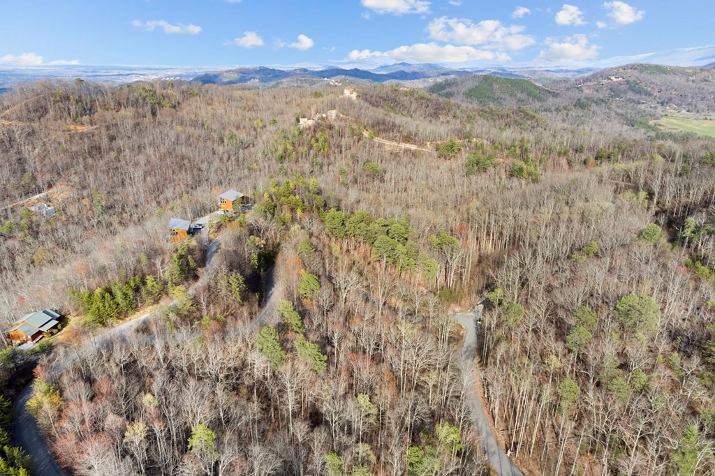 1 Lone Ridge Drive Sevierville, TN 37862 - Photo 8 of 13 Gallery Image 8
