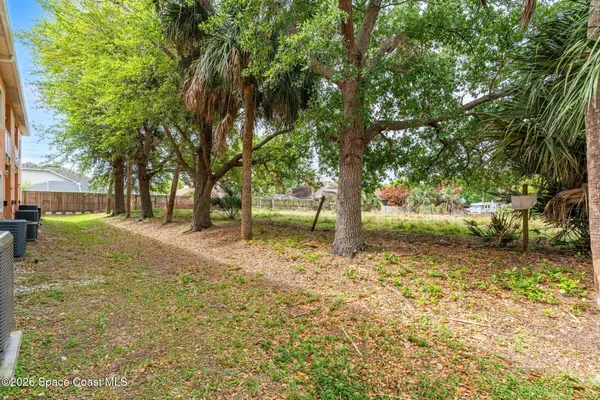 a view of a yard with a tree
