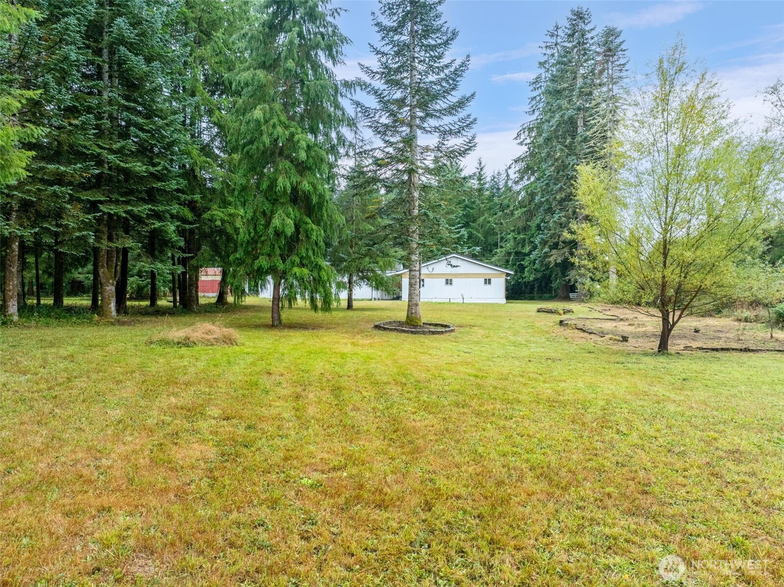 115 Cinebar Road Cinebar, WA 98533 - Photo 14 of 25 a view of a tree with a yard