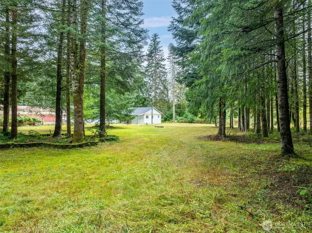 $295,000 | 115 Cinebar Road, Cinebar, WA 98533