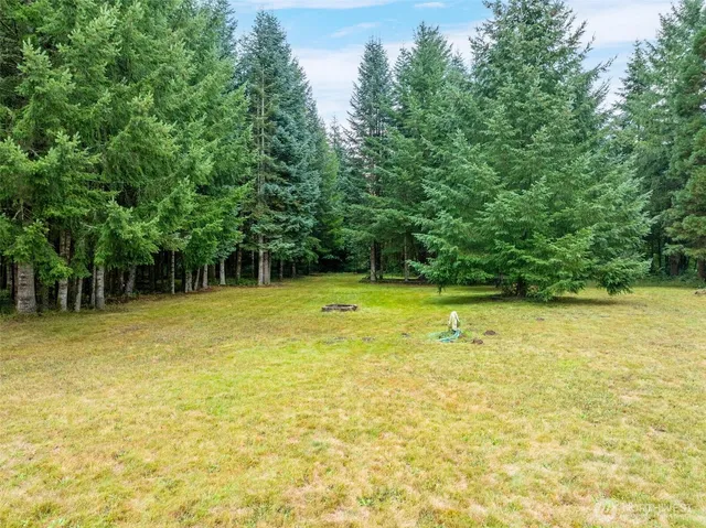 $295,000 | 115 Cinebar Road, Cinebar, WA 98533