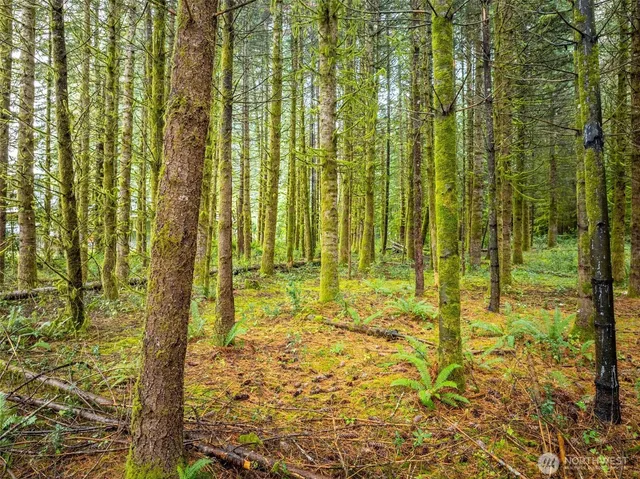 $295,000 | 115 Cinebar Road, Cinebar, WA 98533