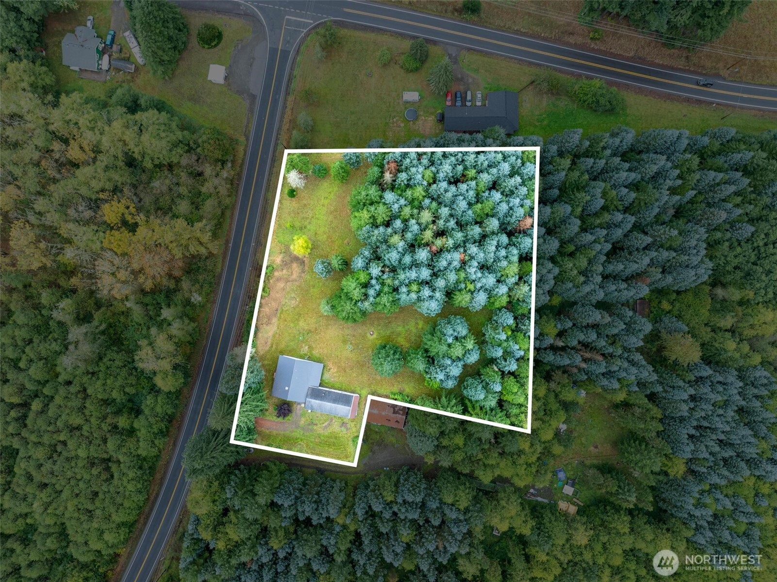 115 Cinebar Road Cinebar, WA 98533 - Photo 25 of 25 an aerial view of a yard