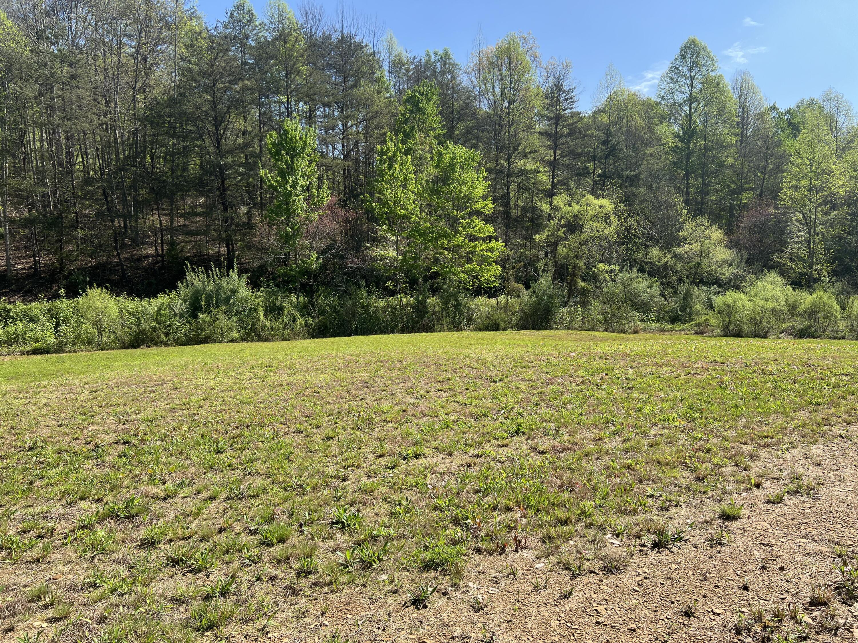 397 Miller Branch Road Bimble, KY 40915 - Photo 19 of 26 MBR18
