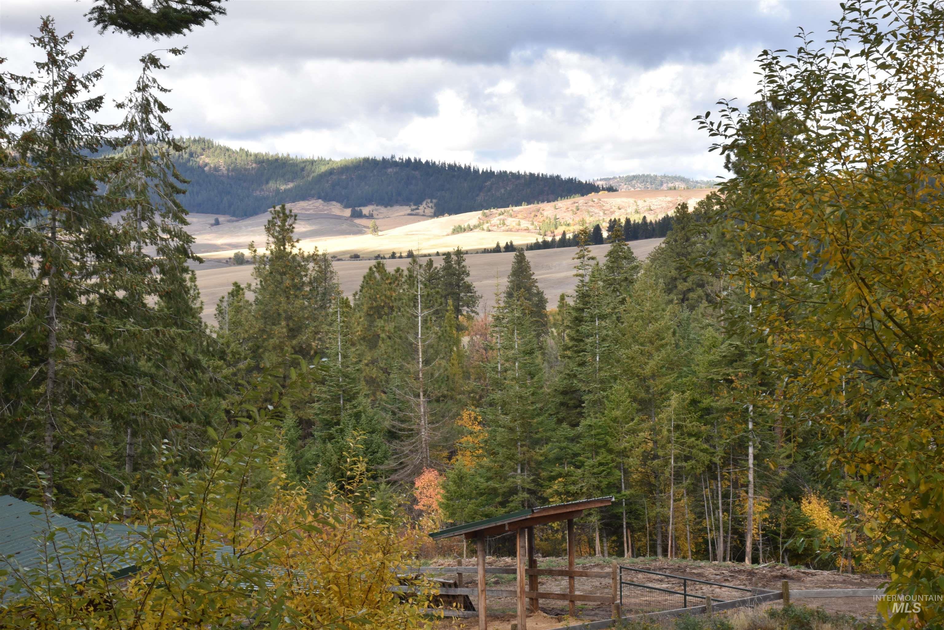 391457 Highway 95 Plummer, ID 83851 - Photo 26 of 39 View of mountain backdrop featuring a heavily wooded area