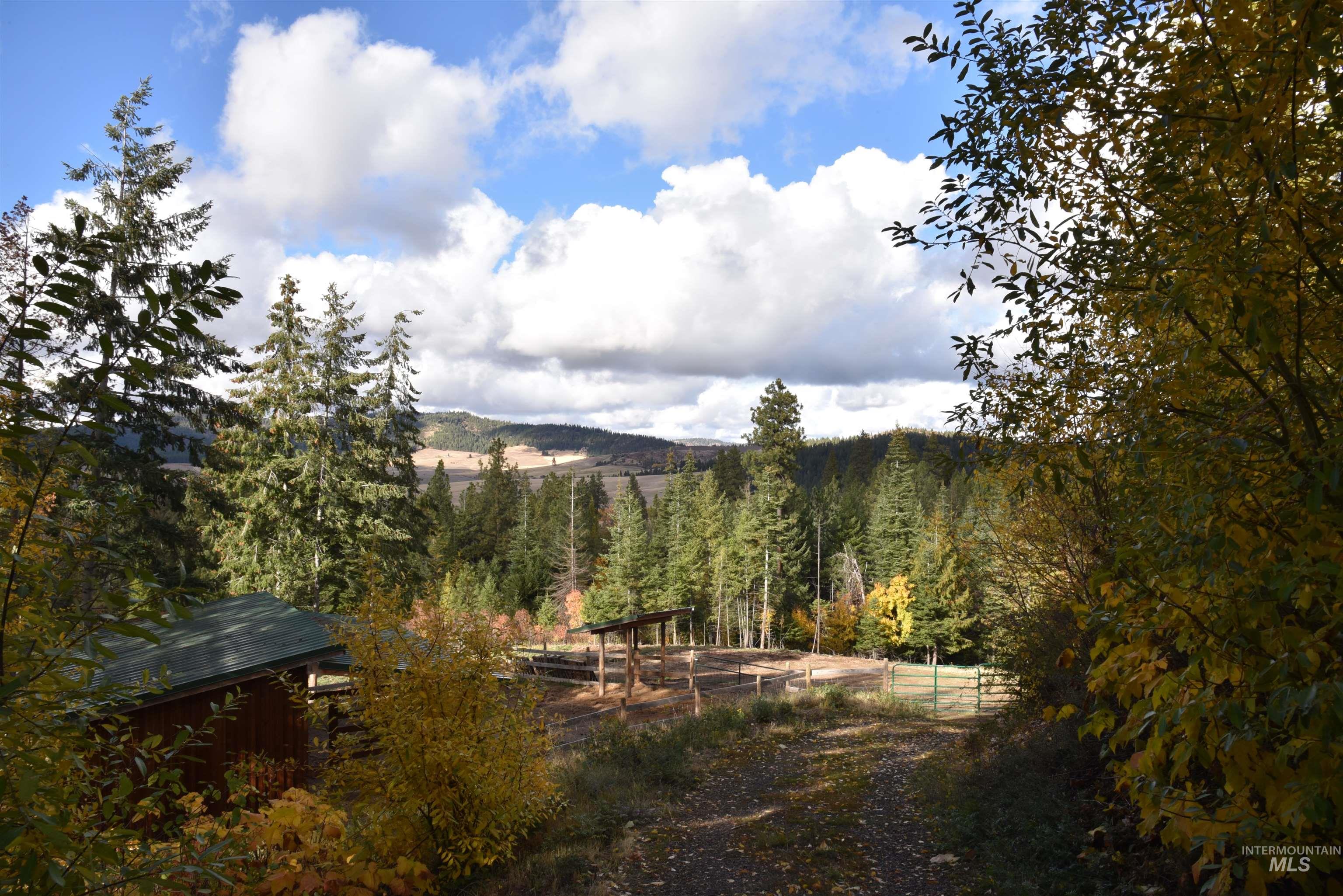 391457 Highway 95 Plummer, ID 83851 - Photo 29 of 39 View of yard with a wooded view