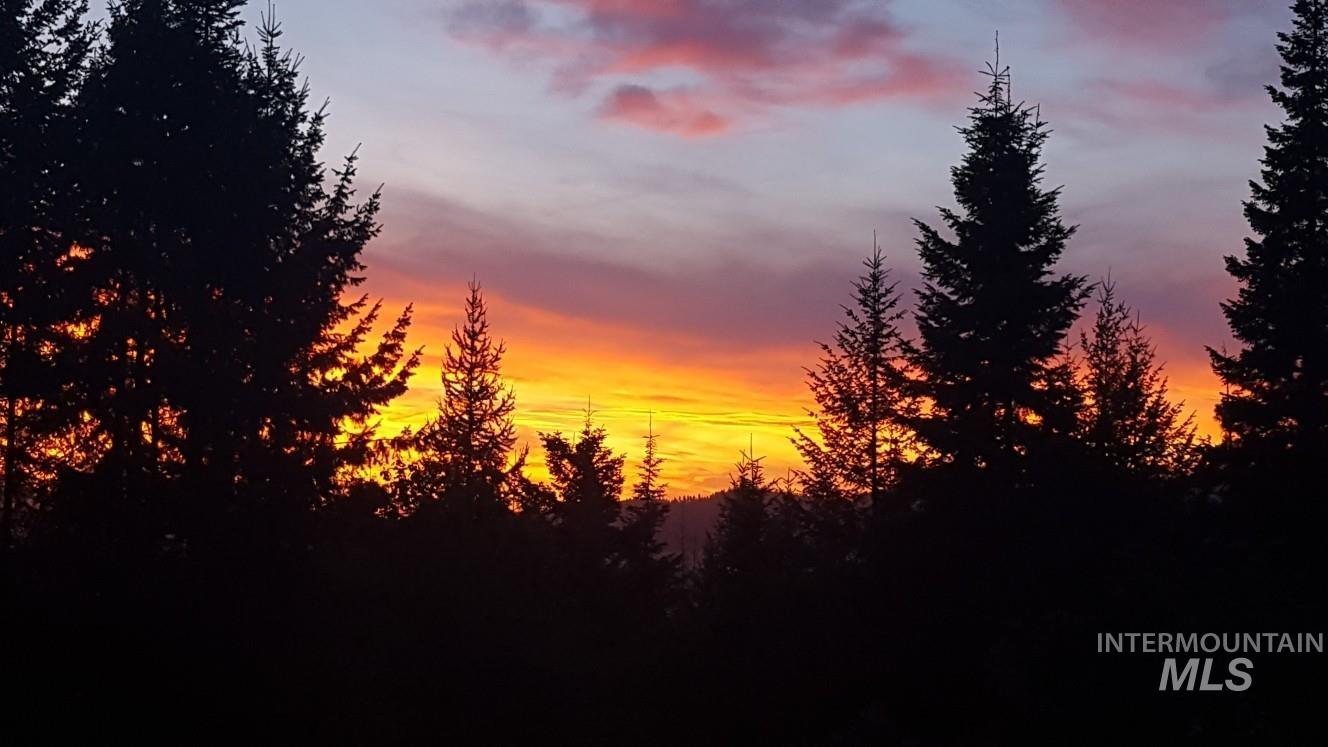 391457 Highway 95 Plummer, ID 83851 - Photo 38 of 39 View of nature