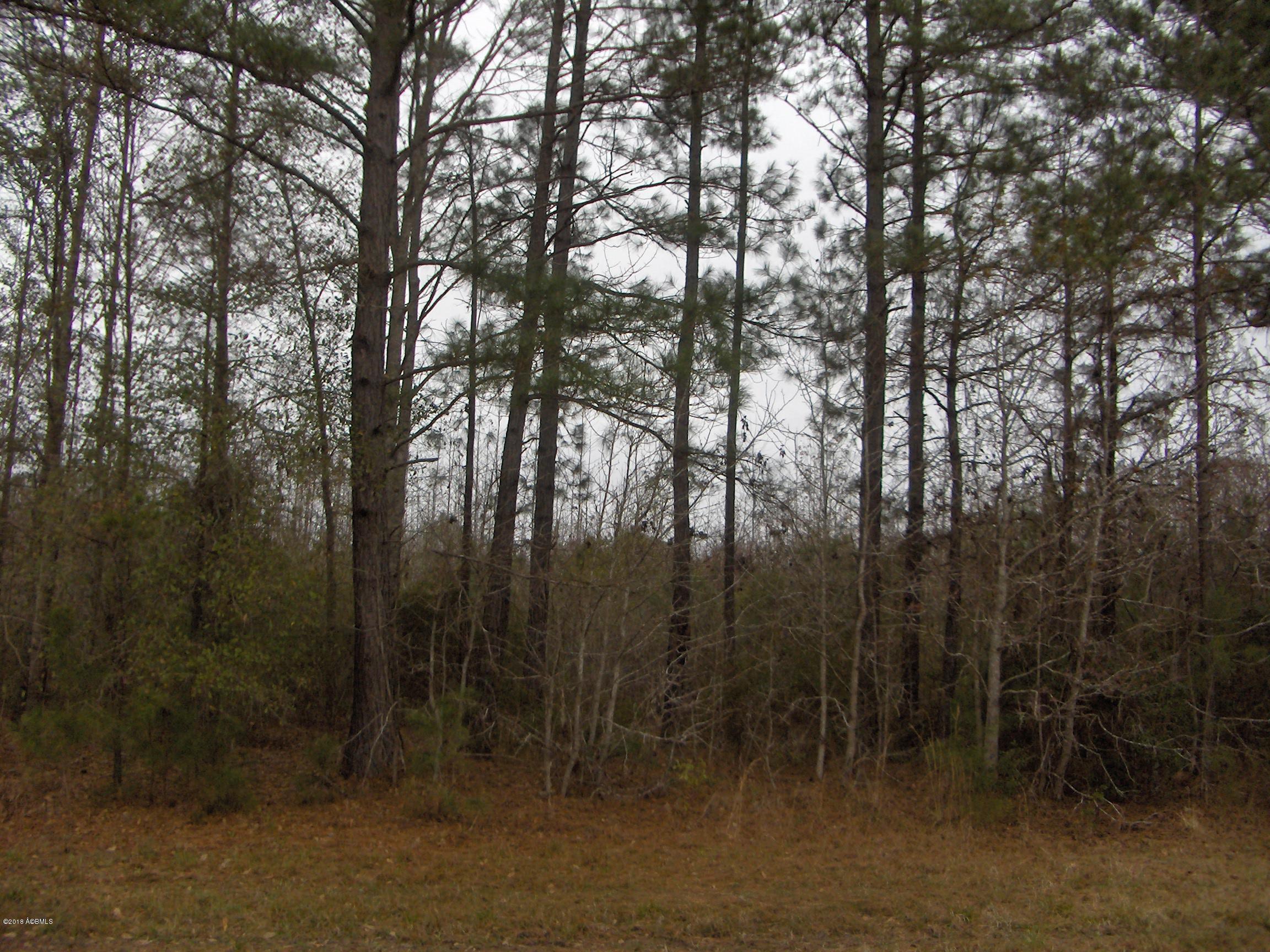 0 Zig Zag Road Pineland, SC 29934 - Photo 1 of 5 HPIM6116