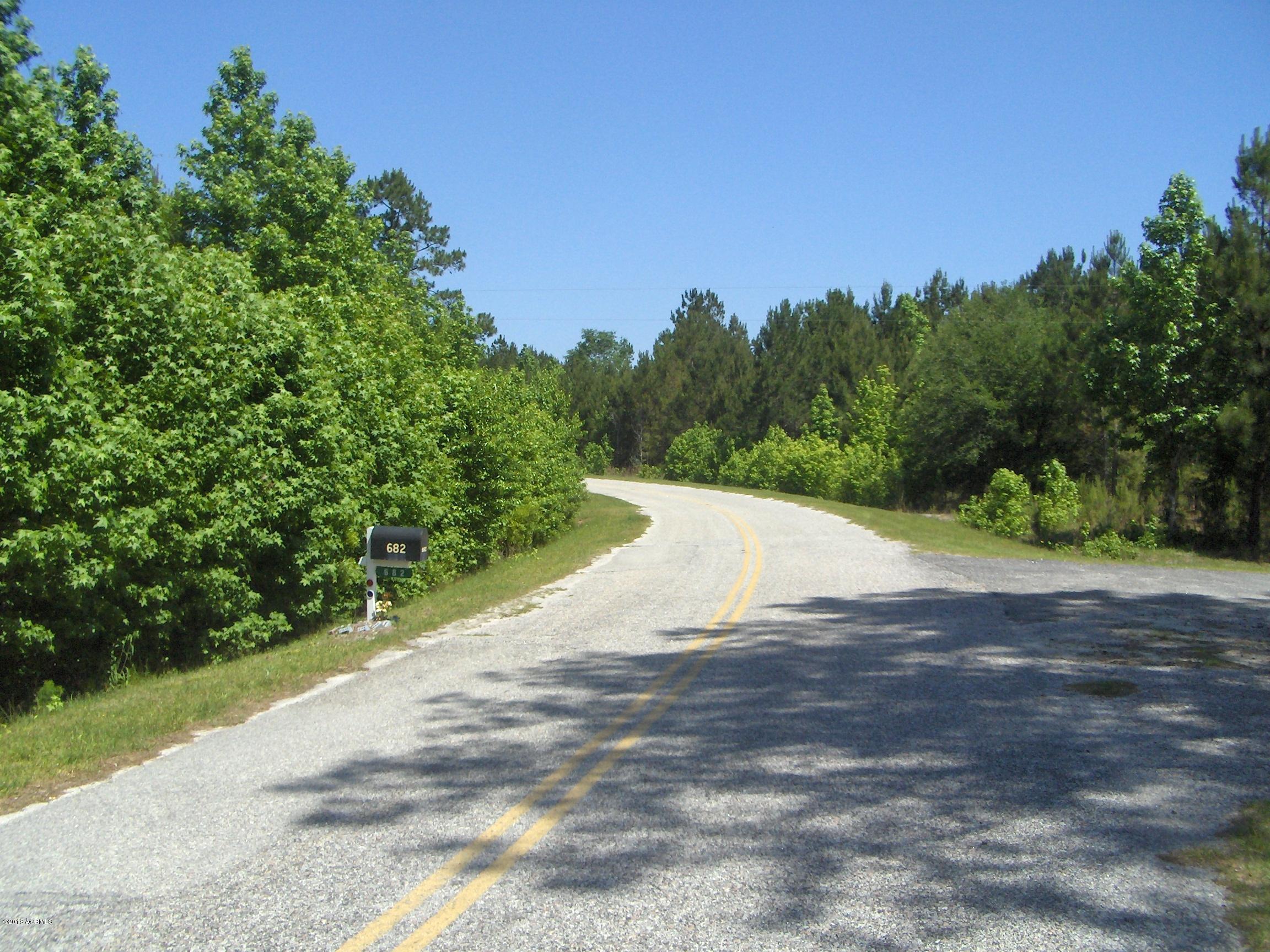 0 Zig Zag Road Pineland, SC 29934 - Photo 3 of 5 HPIM6875