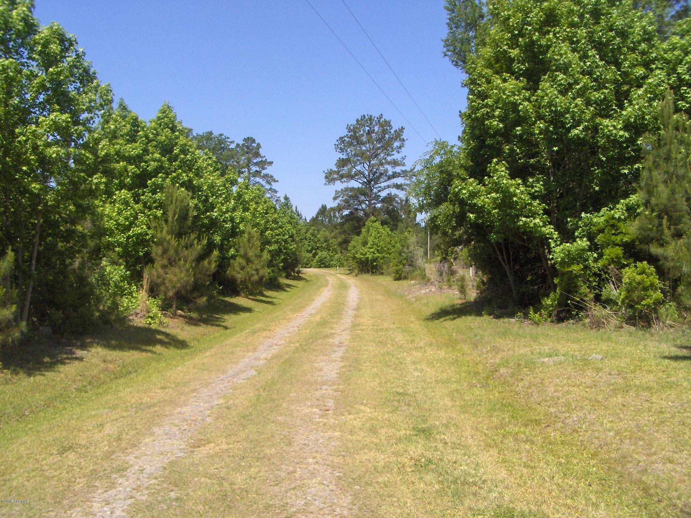 0 Zig Zag Road Pineland, SC 29934 - Photo 4 of 5 HPIM6874
