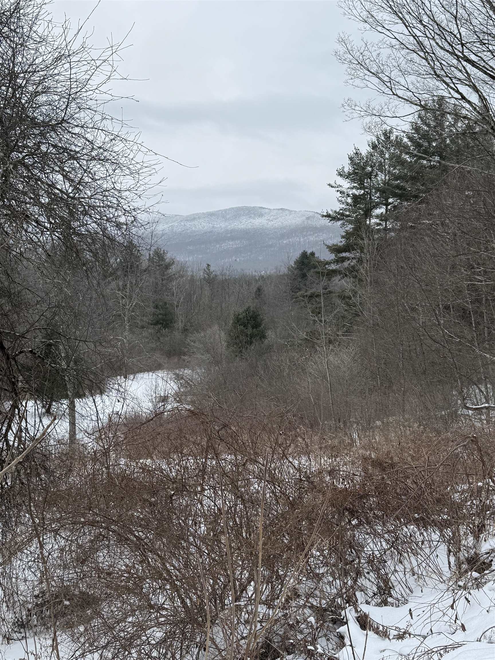 456 Kelleher Road Dorset, VT 05251 - Photo 4 of 4