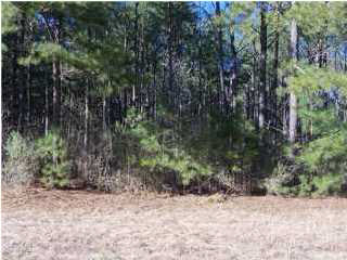 0 East Ridge Lane, Unit 55 Canton, MS 39046 - Photo 1 of 14 Photo 1
