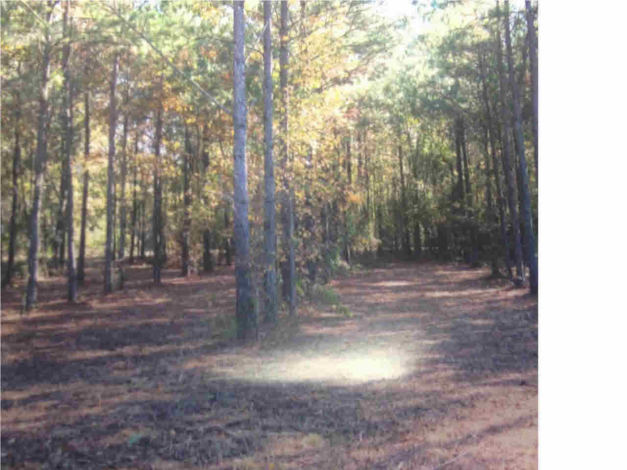 0 East Ridge Lane, Unit 55 Canton, MS 39046 - Photo 4 of 14 Photo 4