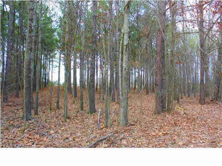 0 East Ridge Lane, Unit 55 Canton, MS 39046 - Photo 7 of 14 Photo 7