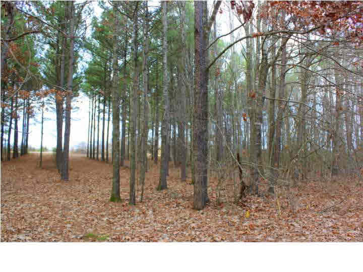 0 East Ridge Lane, Unit 55 Canton, MS 39046 - Photo 8 of 14 Photo 8