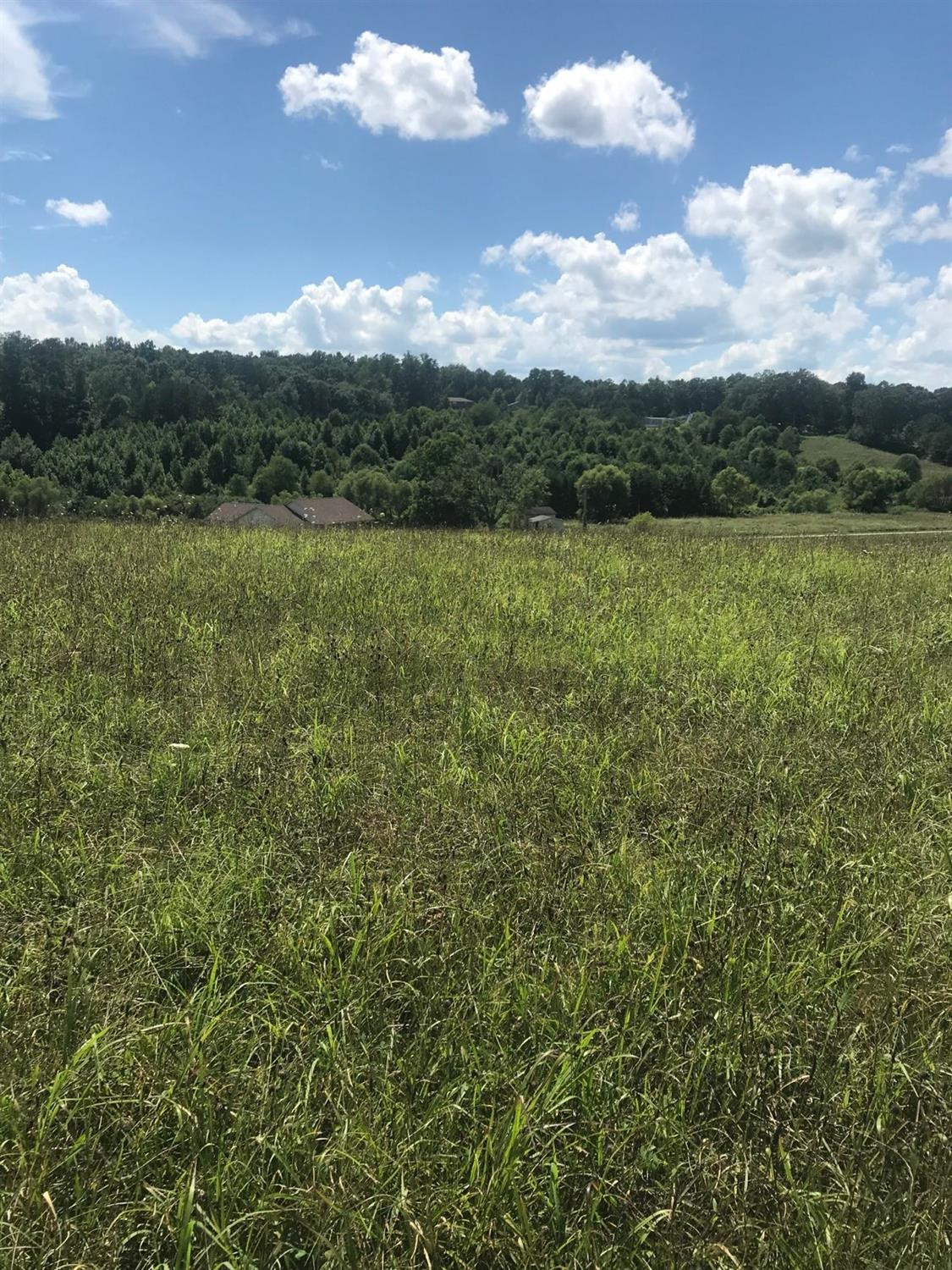 539 Arnett Road West London, KY 40744 - Photo 3 of 9 Photo 3