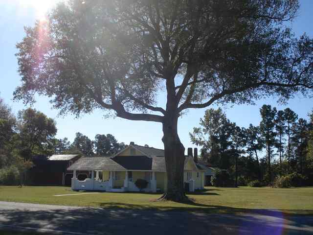 690 Mcnab Shortcut Road Loris, SC 29569 - Photo 1 of 8 Gallery Image 1