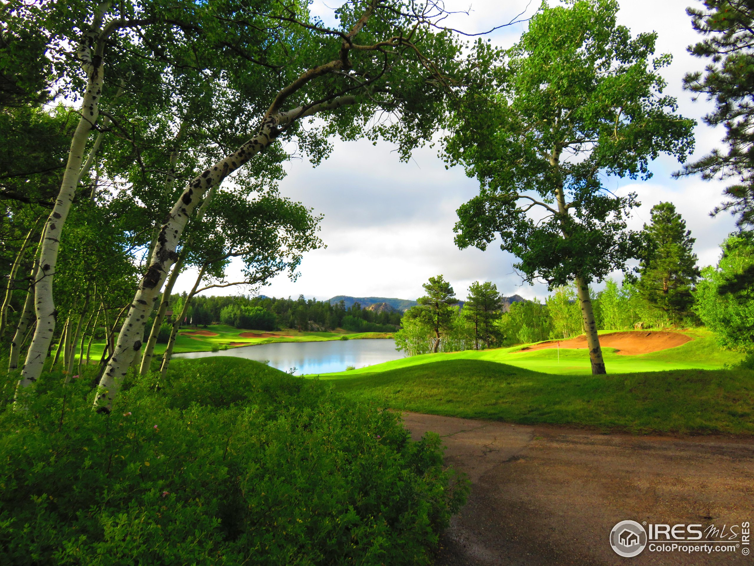 2 Fox Meadow Lane, Unit 2 Red Feather Lakes, CO 80545 - Photo 19 of 22 a view of a lake with a big yard