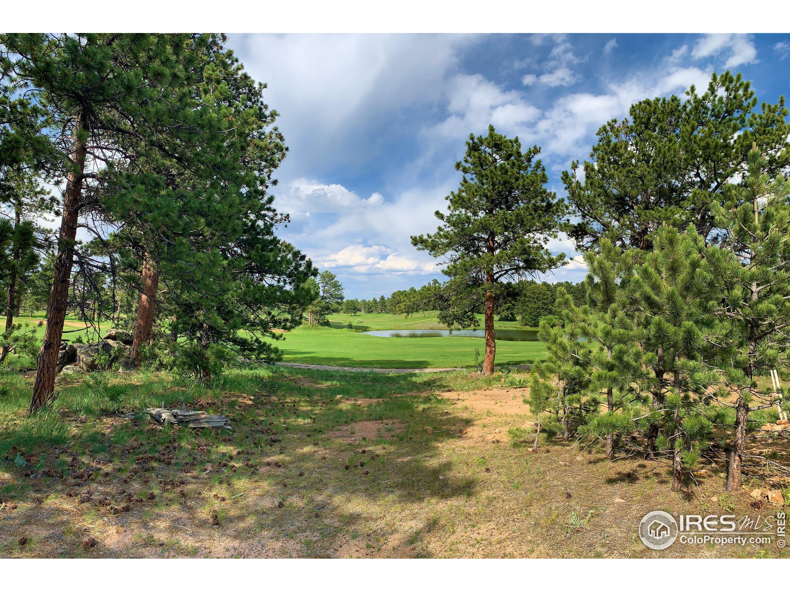 2 Fox Meadow Lane, Unit 2 Red Feather Lakes, CO 80545 - Photo 2 of 22 a backyard of a house with lots of green space