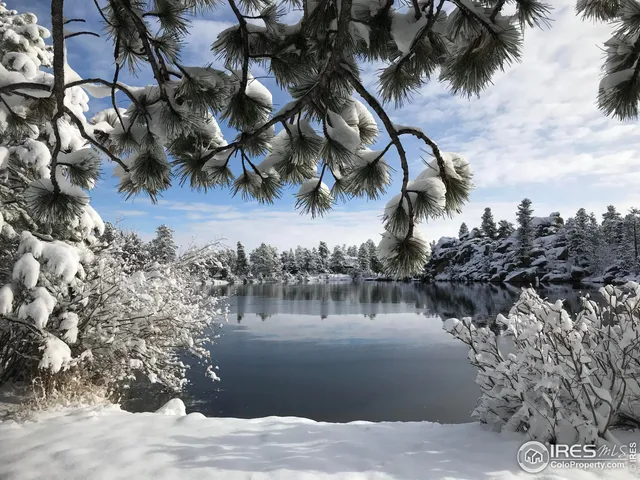 $69,900 | 2 Fox Meadow Lane, Unit 2, Red Feather Lakes, CO 80545