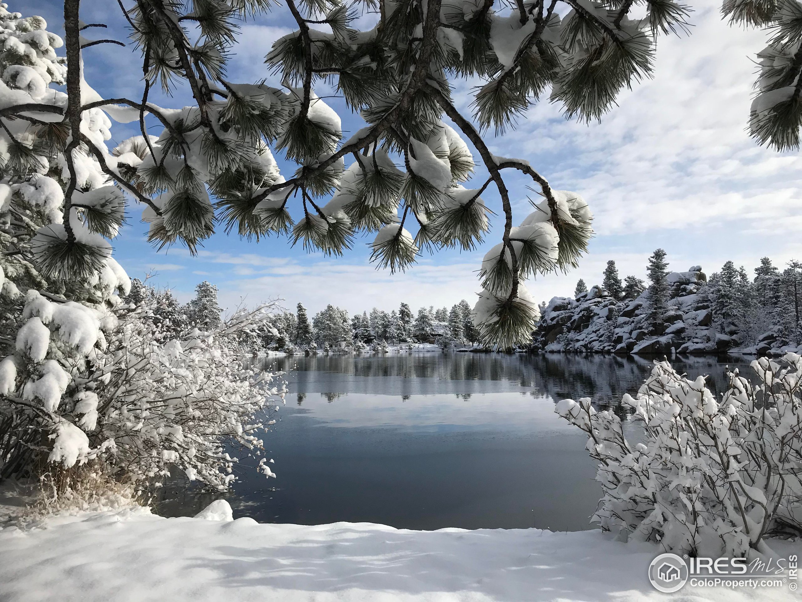 2 Fox Meadow Lane, Unit 2 Red Feather Lakes, CO 80545 - Photo 21 of 22