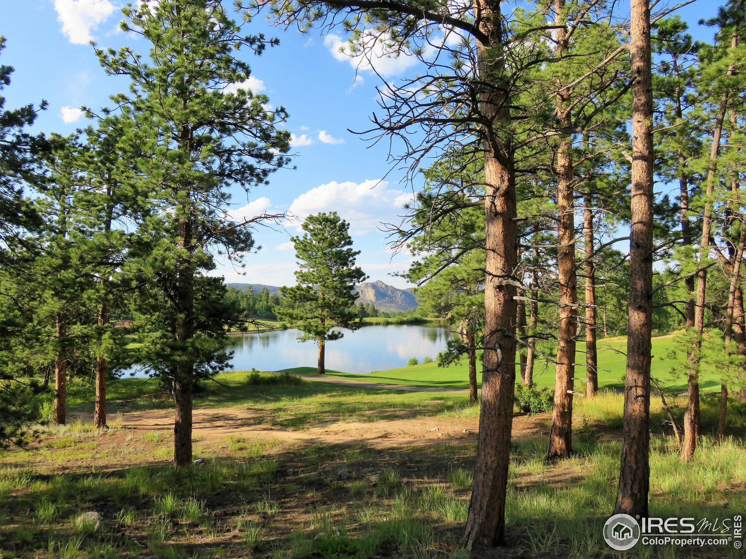 2 Fox Meadow Lane, Unit 2 Red Feather Lakes, CO 80545 - Photo 3 of 22 a view of a trees in a park