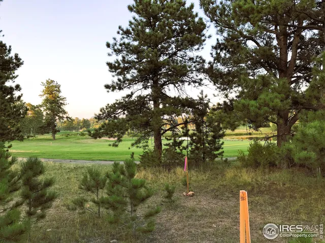 a view of a lake from a yard