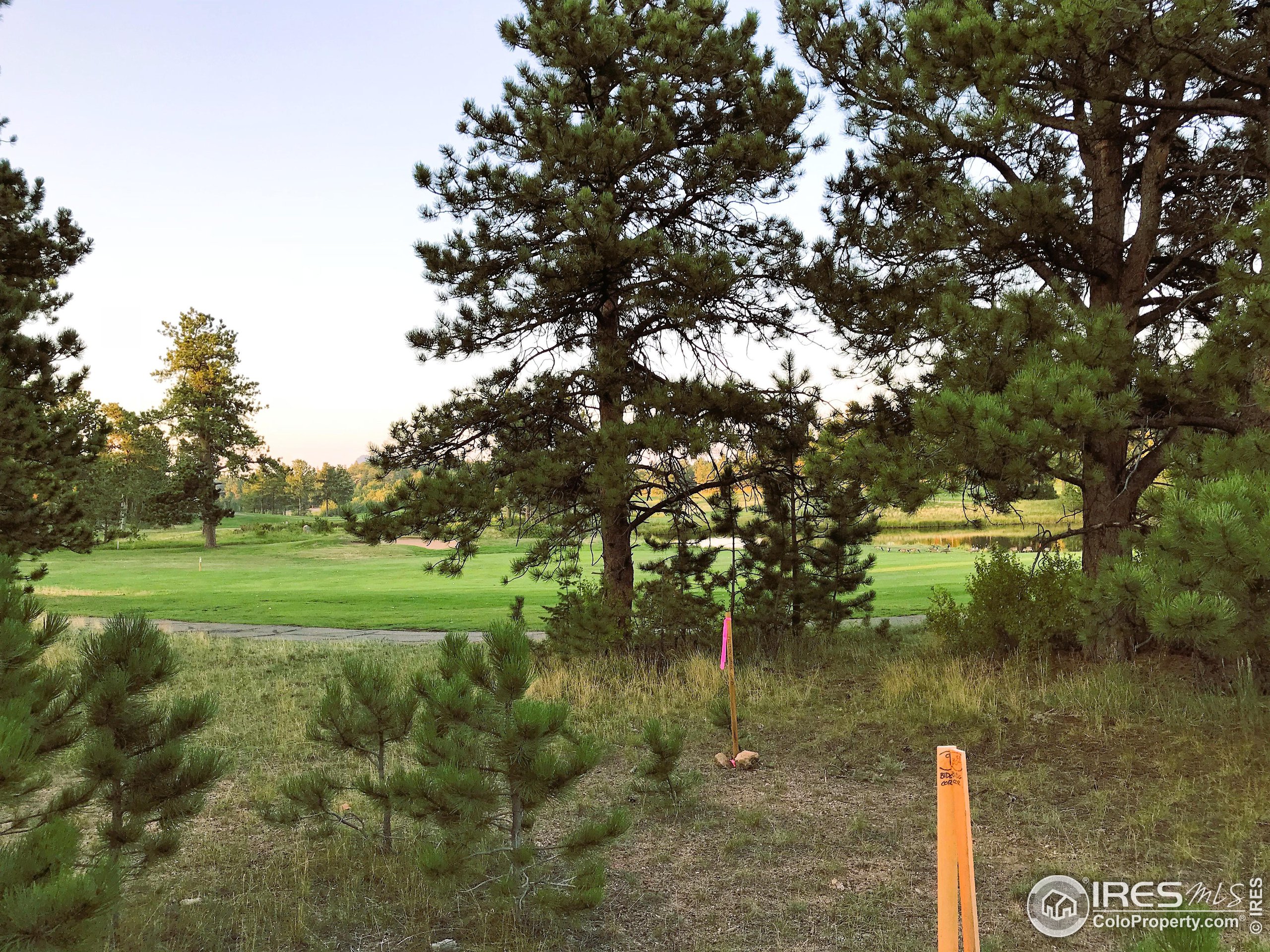 2 Fox Meadow Lane, Unit 2 Red Feather Lakes, CO 80545 - Photo 5 of 22 a view of a lake from a yard