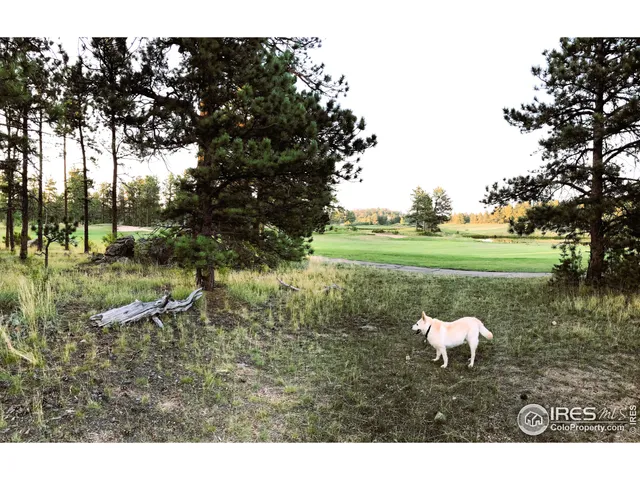 a backyard of a house with a yard and outdoor seating