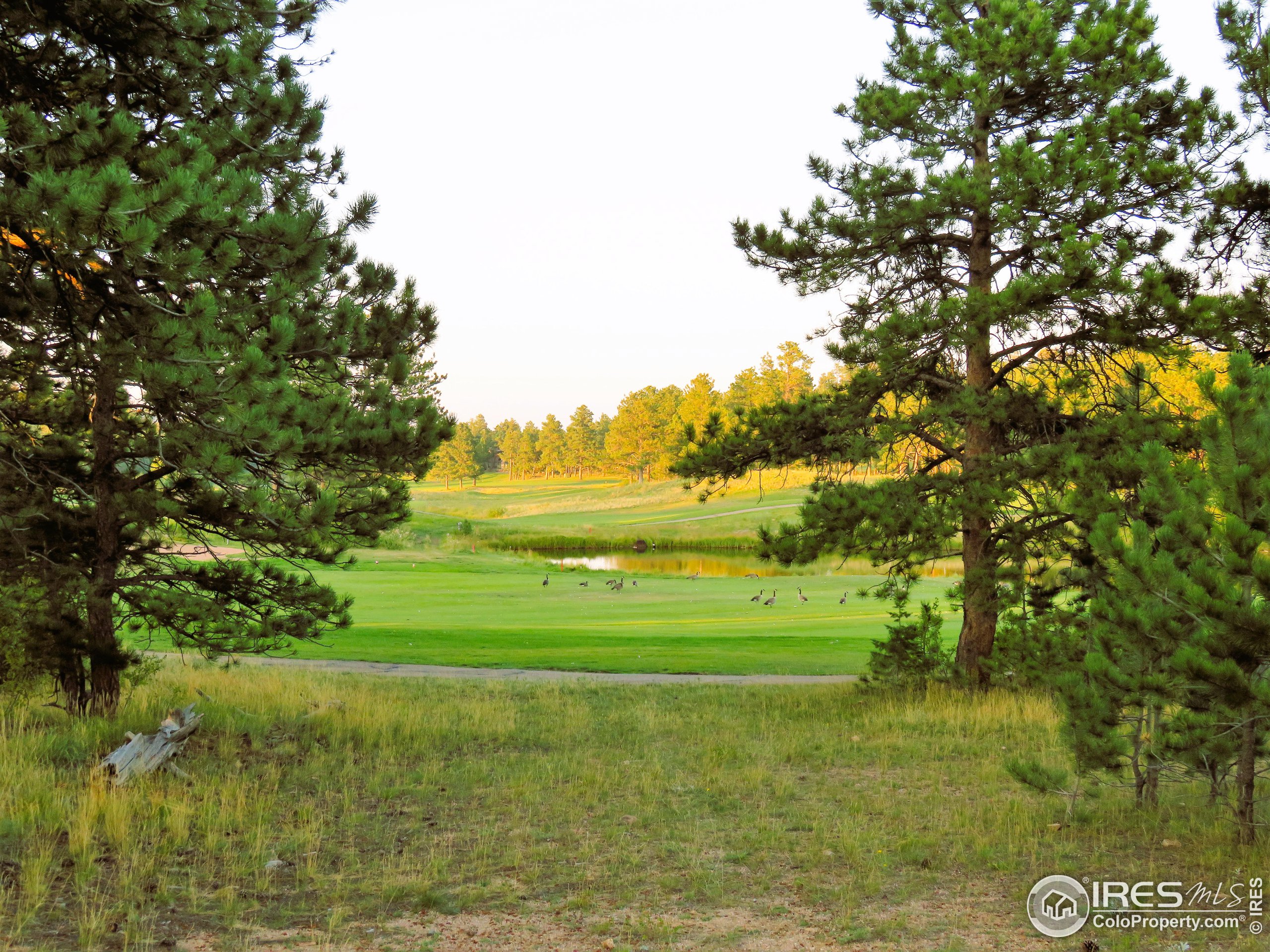 2 Fox Meadow Lane, Unit 2 Red Feather Lakes, CO 80545 - Photo 7 of 22 a view of a golf course with a lake