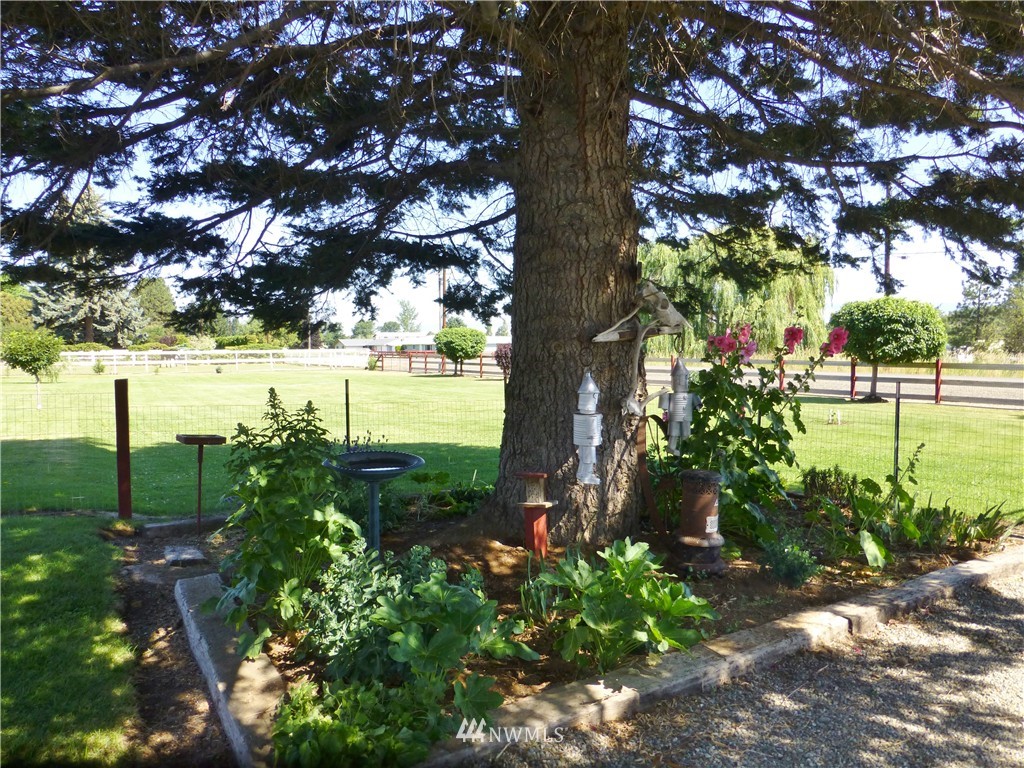 391 Brown Road Ellensburg, WA 98926 - Photo 19 of 25 Gallery Image 19