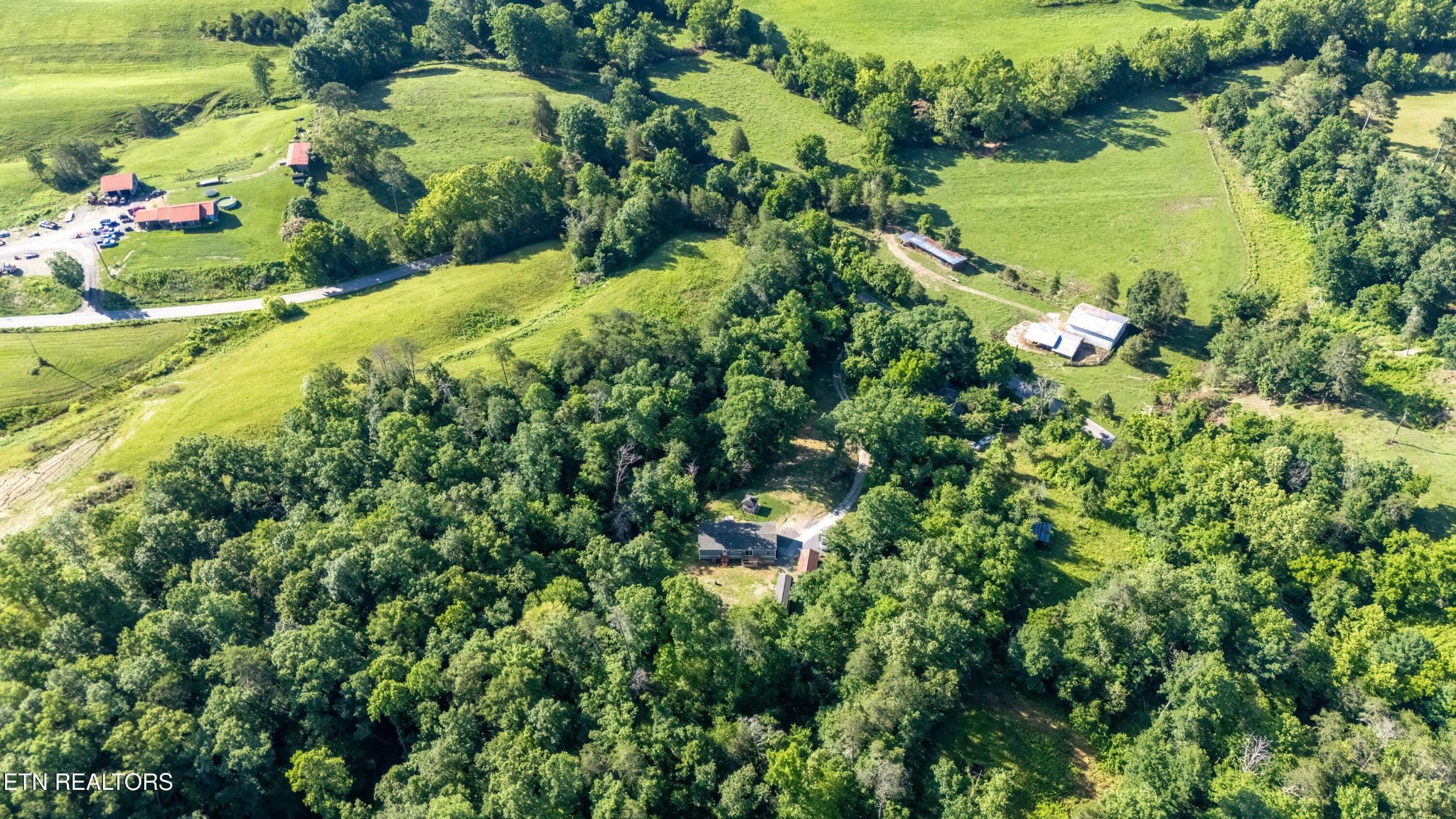 409 Bull Run Road Luttrell, TN 37779 - Photo 37 of 40