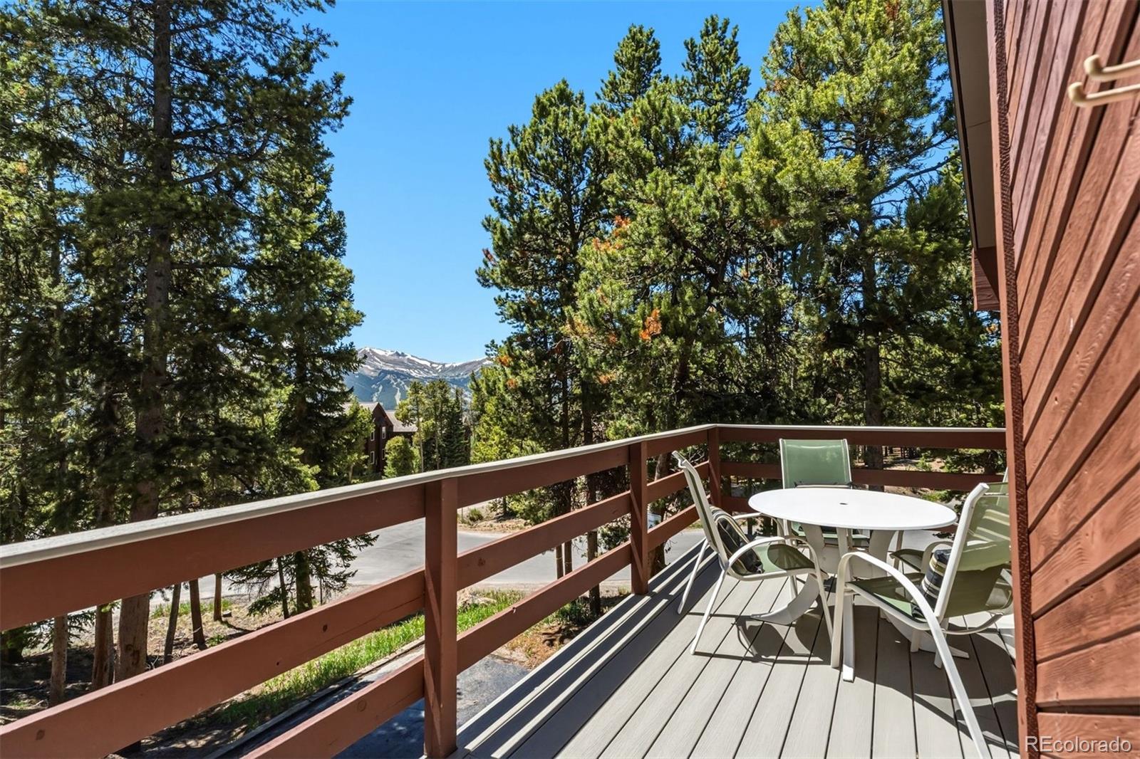 1233 Baldy Road Breckenridge, CO 80424 - Photo 19 of 41