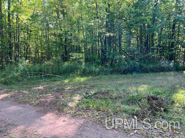 828 North County Road Wakefield, MI 49968 - Photo 3 of 34