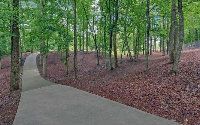 1195 Bethany Road Jasper, GA 30143 - Photo 62 of 81