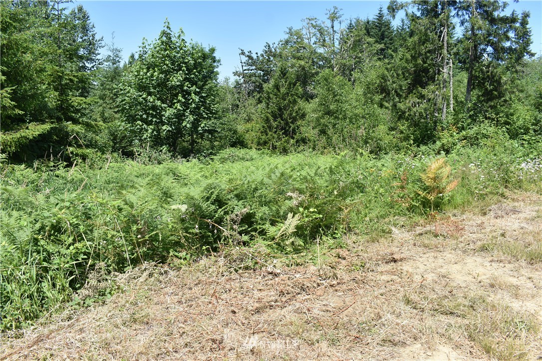 2235 Centralia Alpha Road Chehalis, WA 98532 - Photo 7 of 14