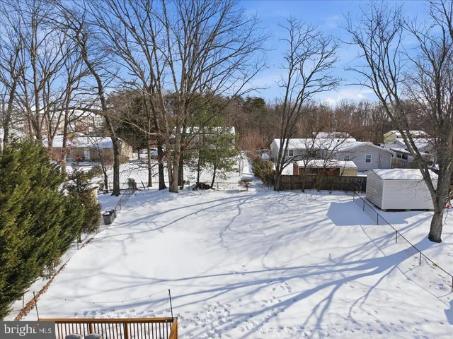 a view of park with trees
