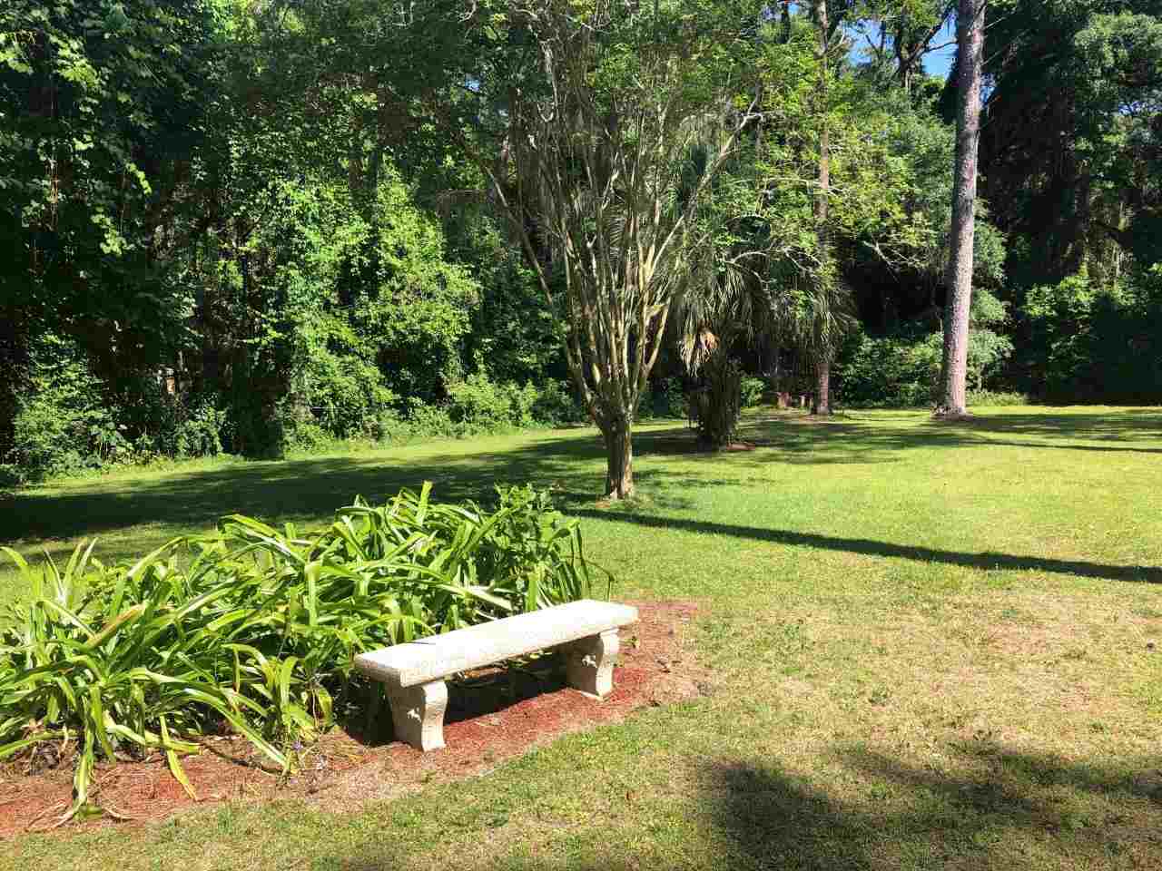 2314 Jim Lee Road Tallahassee, FL 32301 - Photo 4 of 21 Gallery Image 4