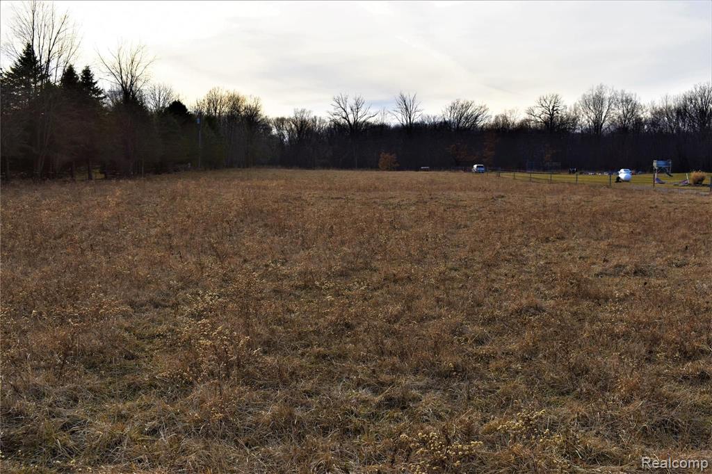 0 Bull Run Road Fowlerville, MI 48836 - Photo 2 of 10 Gallery Image 2