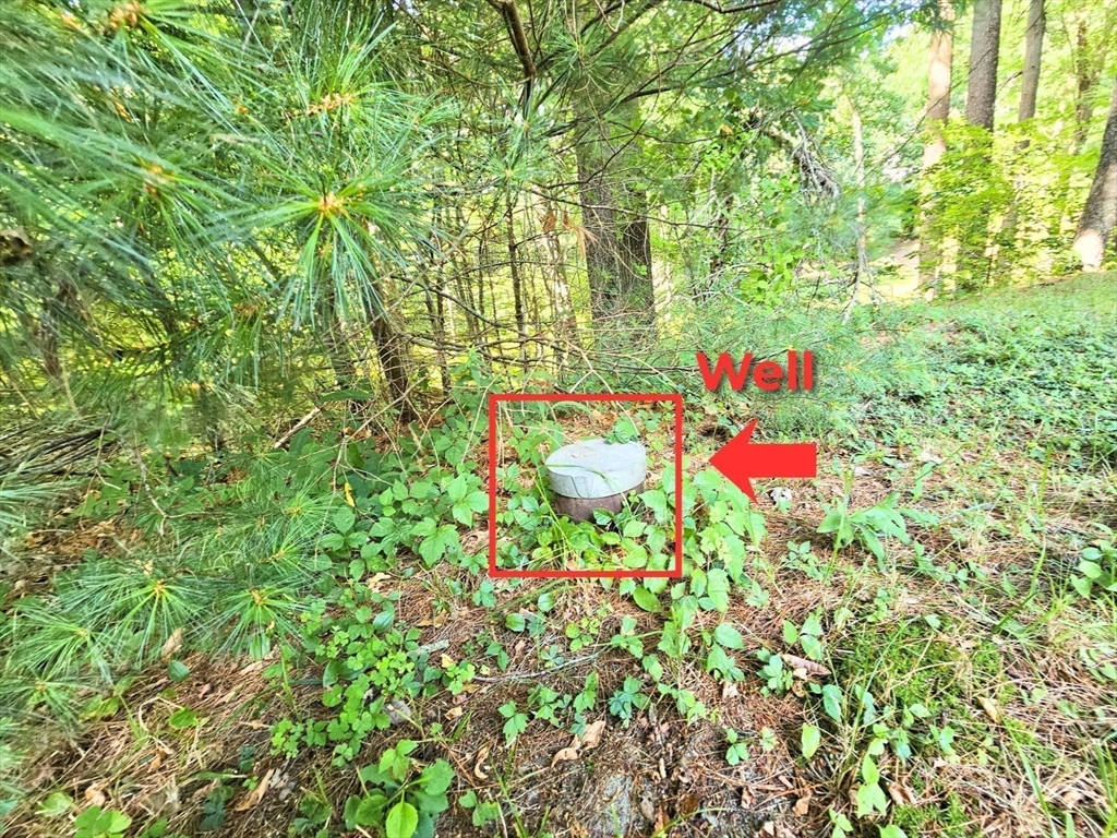 0 Nel Bonney Road Carver, MA 02330 - Photo 12 of 19 Gallery Image 12