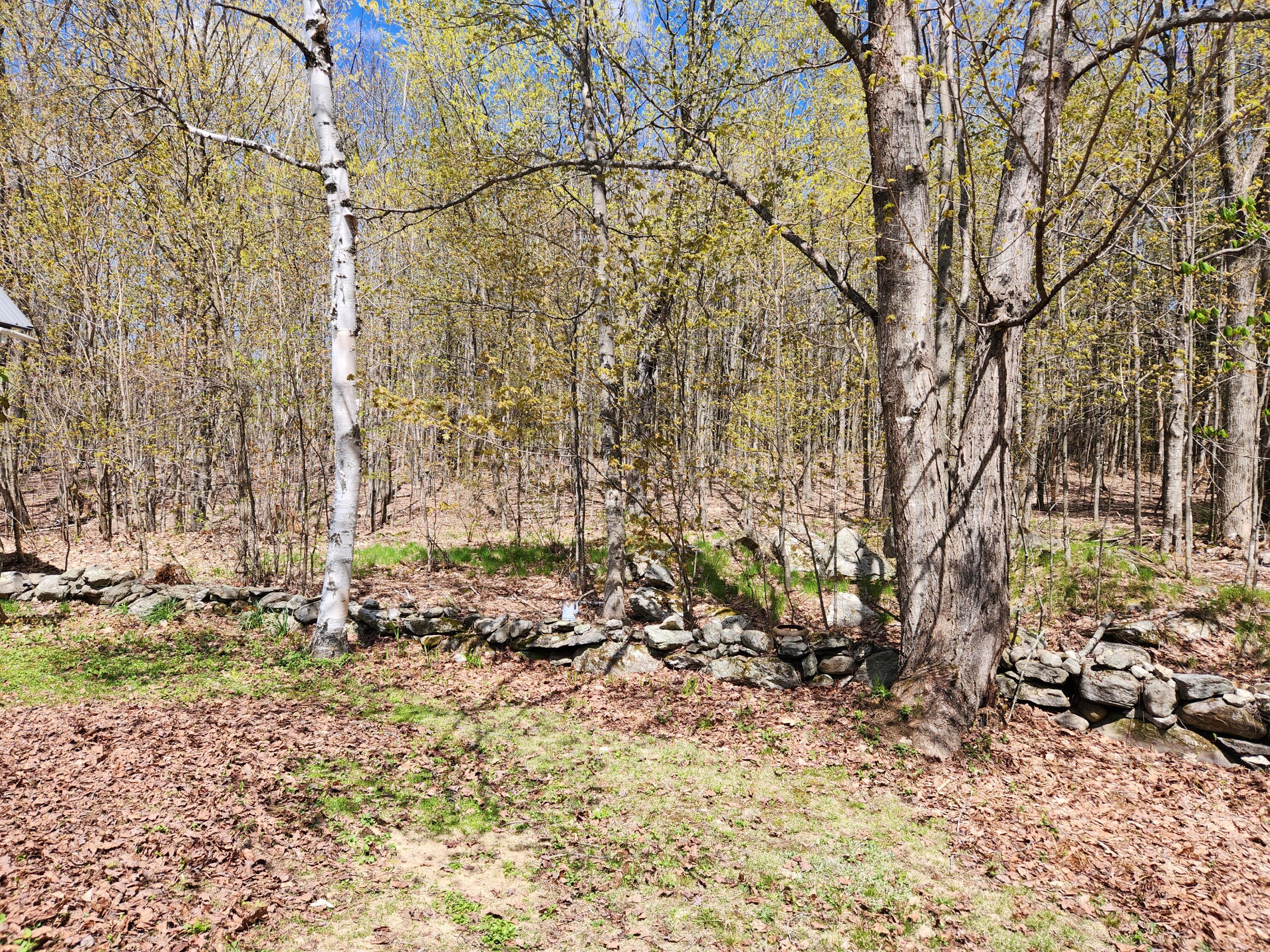 110 Christian Ridge Road South Paris, ME 04281 - Photo 63 of 69 20230506_135658