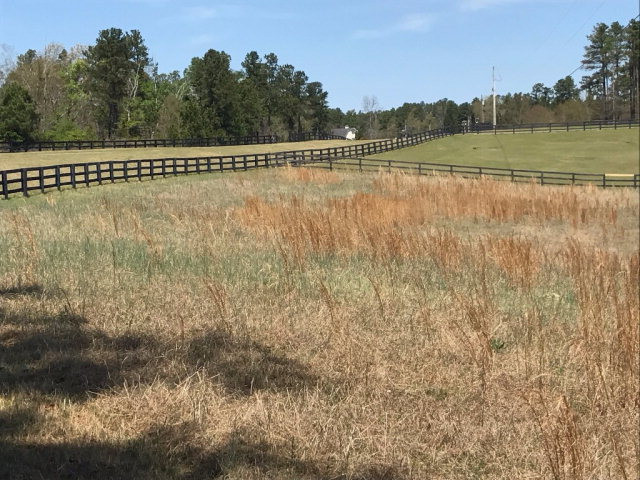7.65-ac Anderson Pond Road Beech Island, SC 29842 - Photo 4 of 5 Gallery Image 4