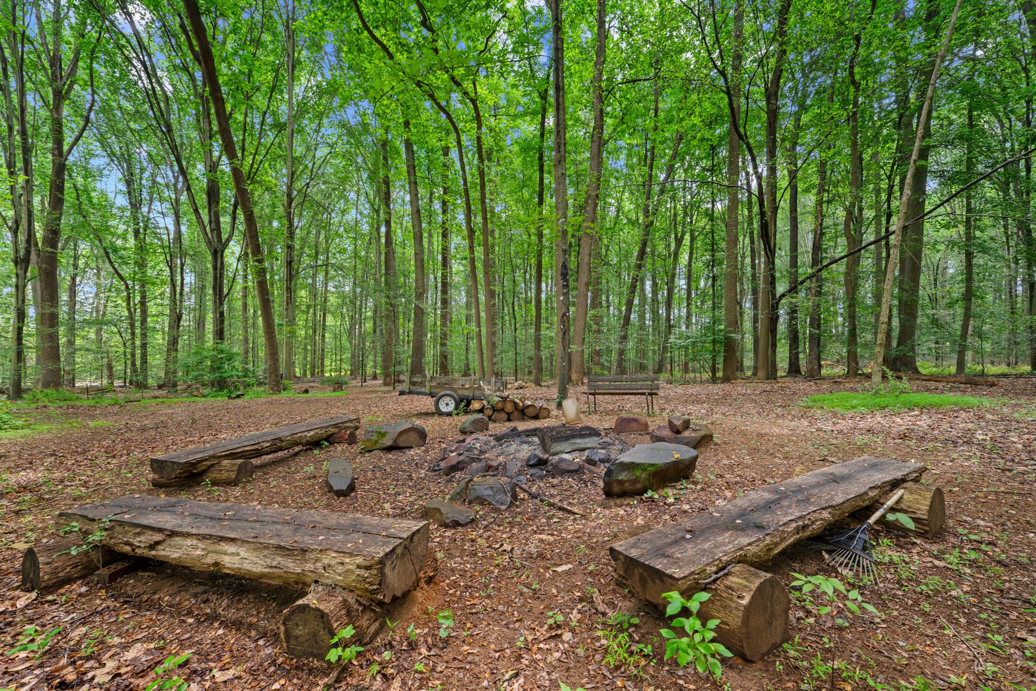 12221 Jerusalem Road Kingsville, MD 21087 - Photo 57 of 66 Wooded area in Back of property