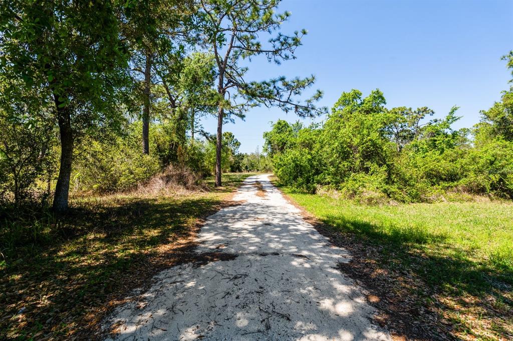 2727 Absher Road St. Cloud, FL 34771 - Photo 11 of 12 a view of backyard